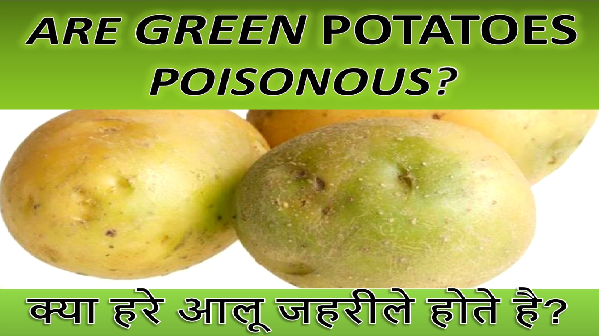 Poisonous potato update. Green Potatoes. Соланин в картофеле. Желтый картофель зеленого. Harmless Potato.